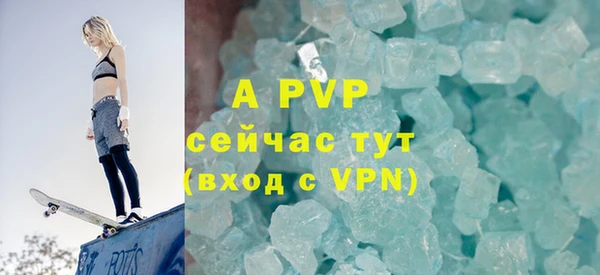 прущие грибы Бронницы