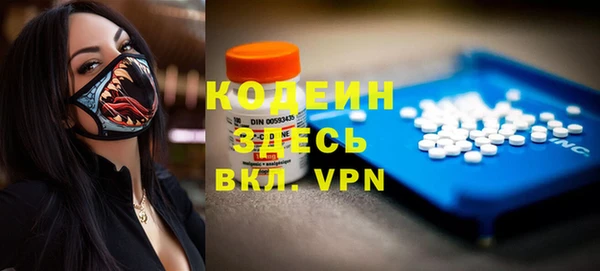 индика Бугульма