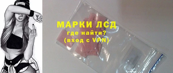 индика Бугульма