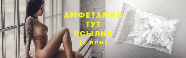 прущие грибы Бронницы