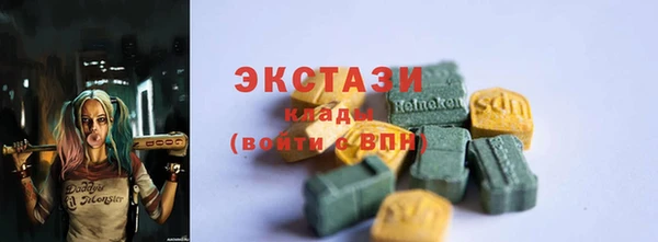 индика Бугульма