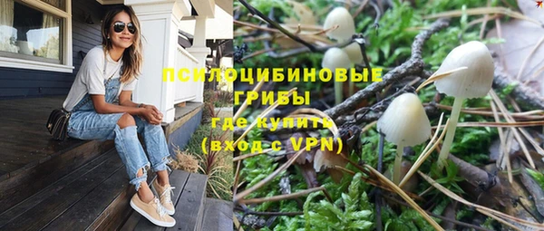 прущие грибы Бронницы