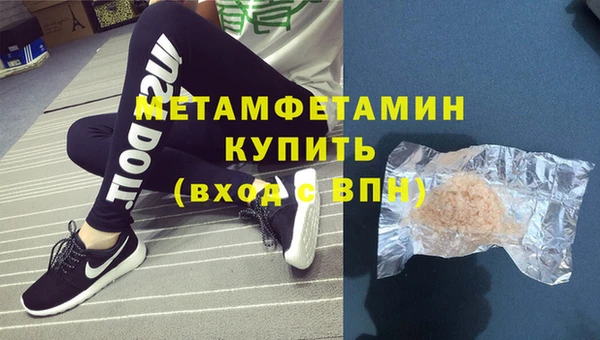 прущие грибы Бронницы