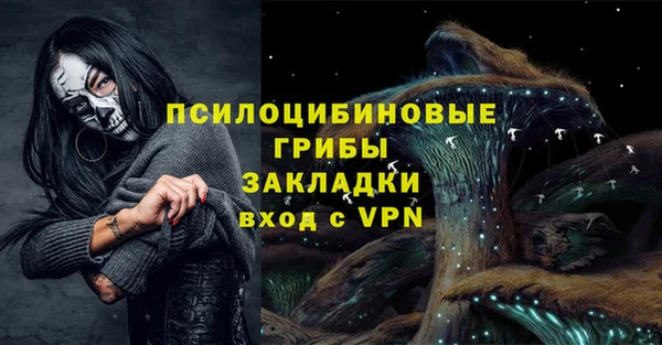 прущие грибы Бронницы