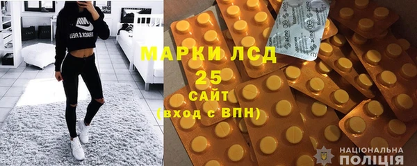 индика Бугульма