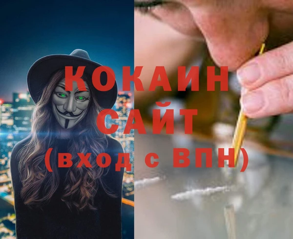 прущие грибы Бронницы