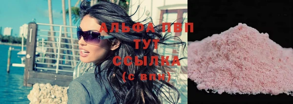 прущие грибы Бронницы