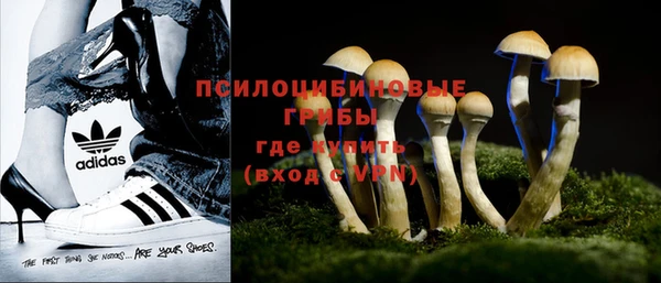 ALPHA PVP Бородино