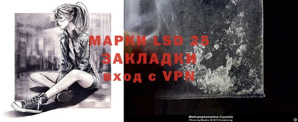 индика Бугульма