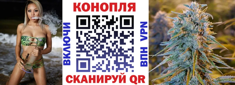 Каннабис марихуана  Новоузенск 